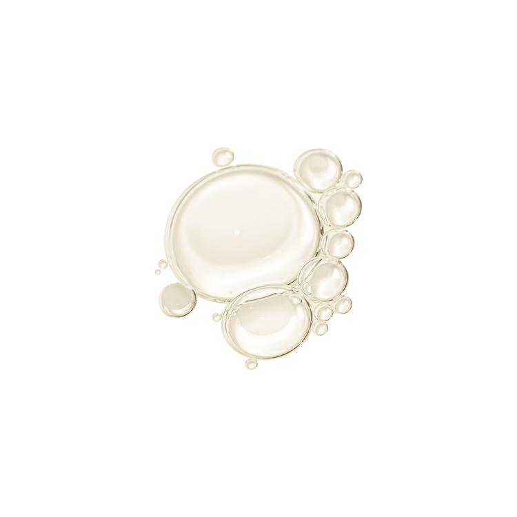 Duo nourrissant multi-perfecteur